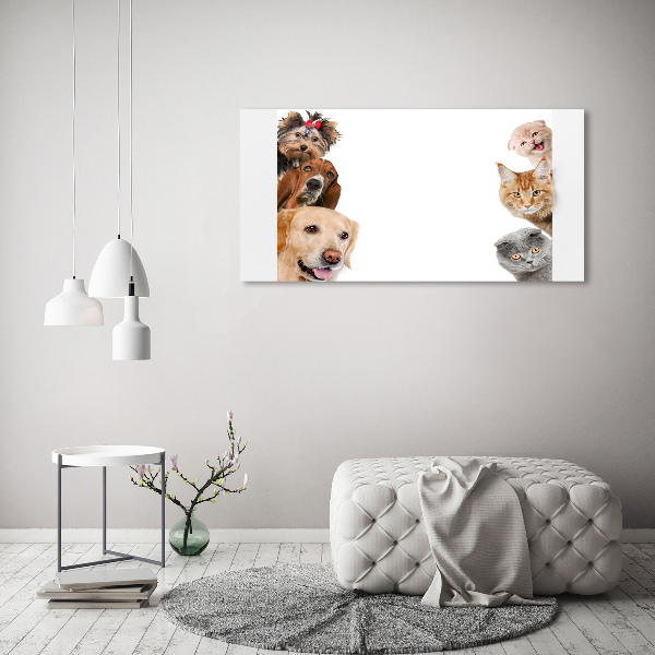 Acrylic wall art Dogs and cats