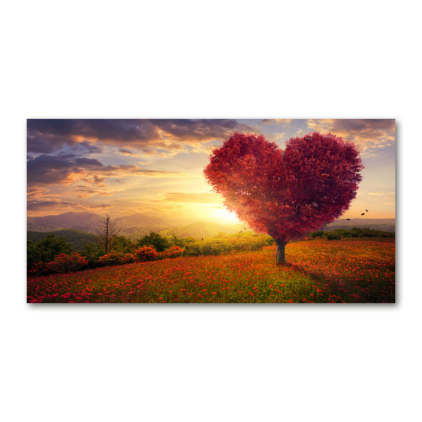 Print on acrylic Tree Field Heart