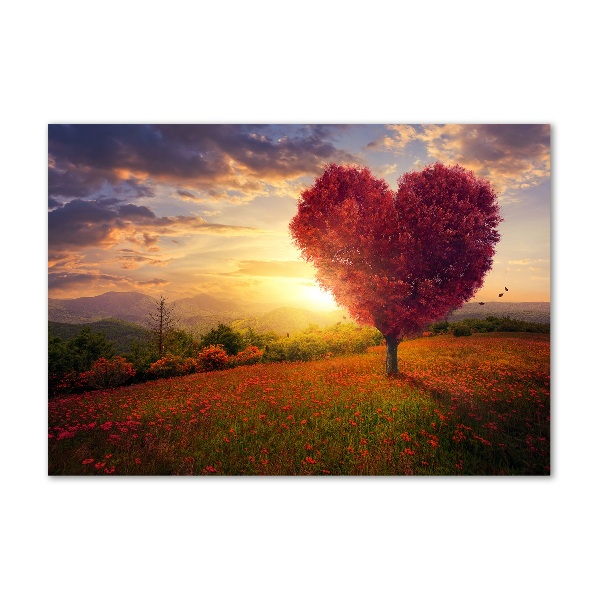 Print on acrylic Tree Field Heart