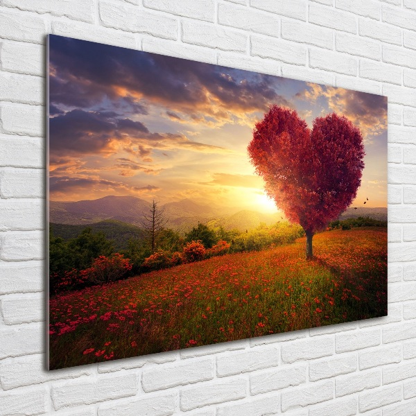 Print on acrylic Tree Field Heart