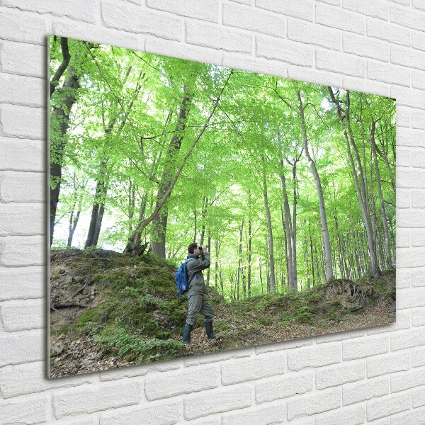 Print on acrylic Ornithologist in the forest