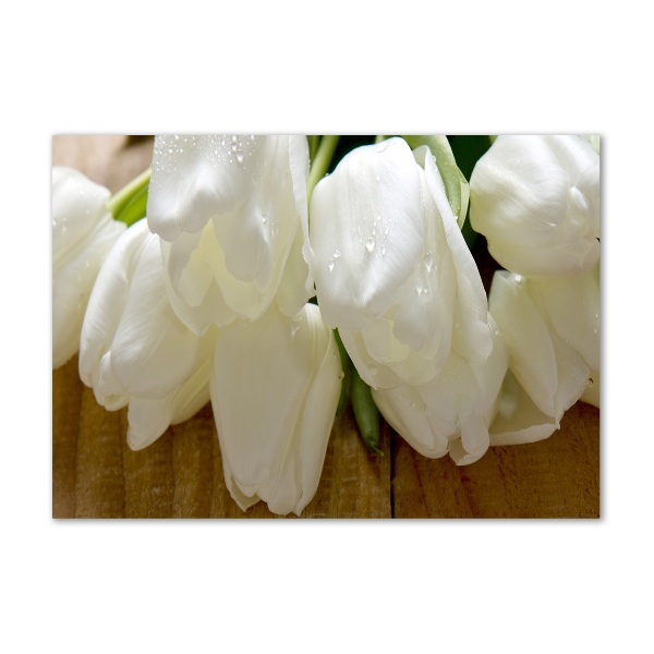 Print on acrylic White tulips