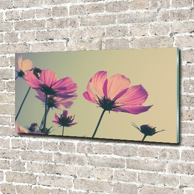 Print on acrylic Pink flowers