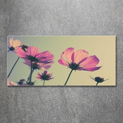 Print on acrylic Pink flowers