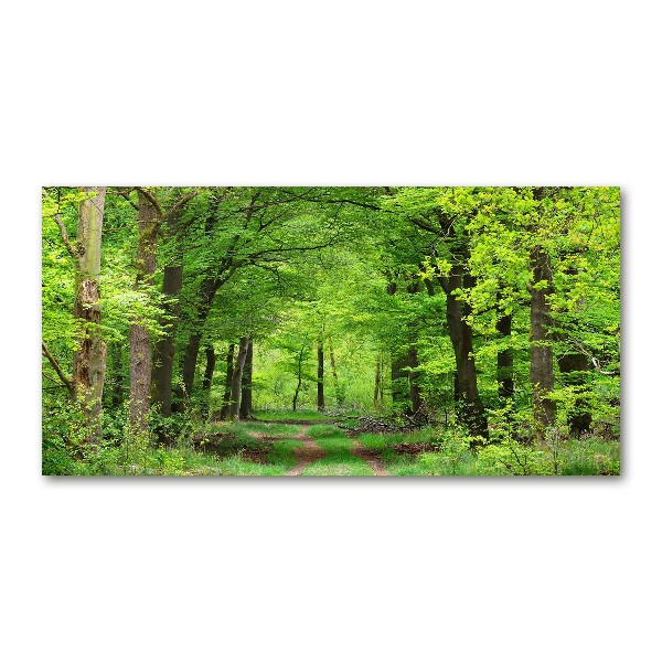 Acrylic wall art Spring forest