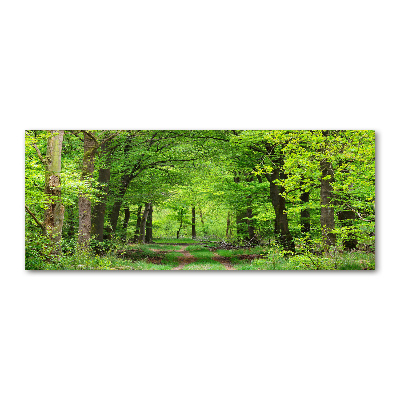 Acrylic wall art Spring forest