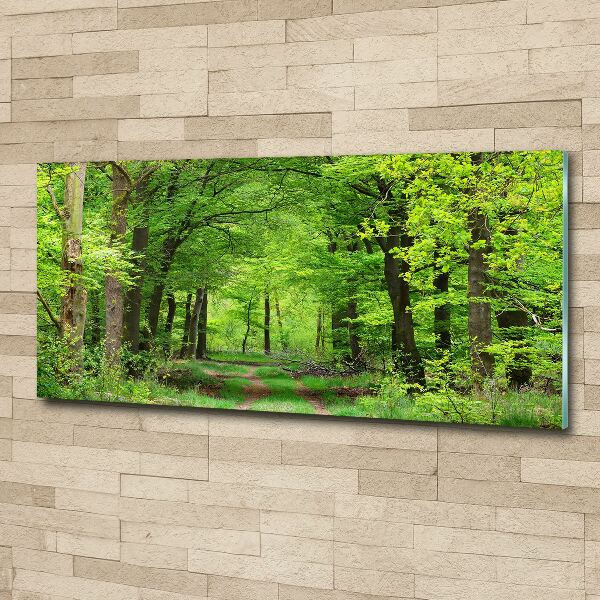 Acrylic wall art Spring forest