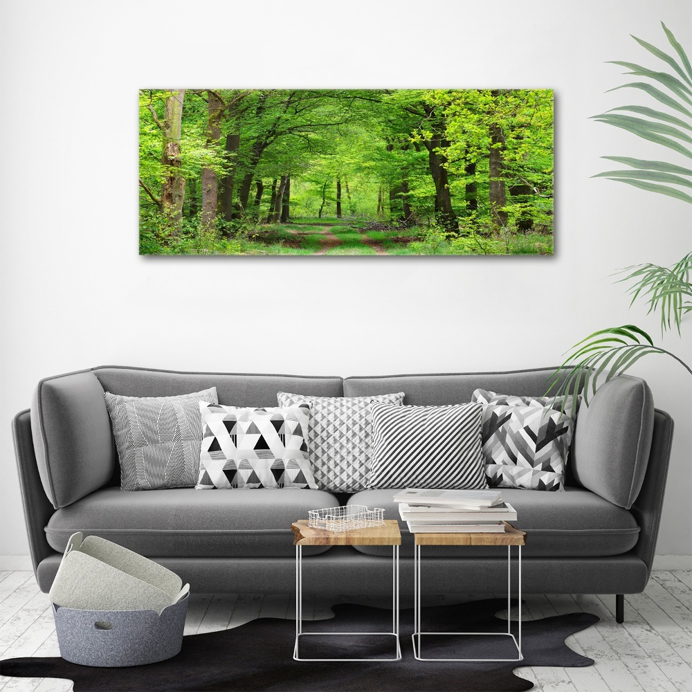 Acrylic wall art Spring forest