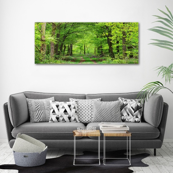 Acrylic wall art Spring forest