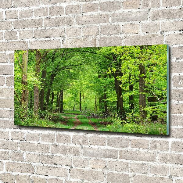 Acrylic wall art Spring forest