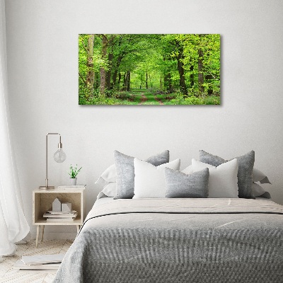 Acrylic wall art Spring forest