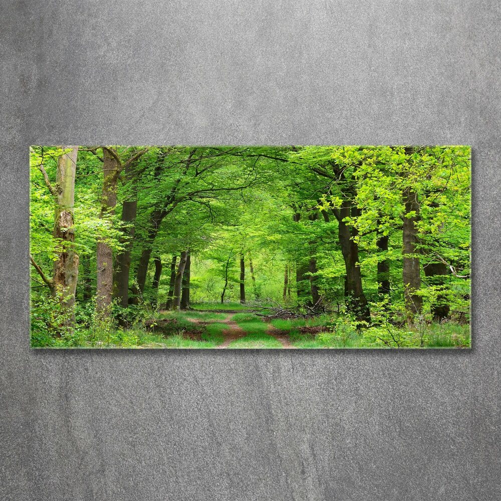 Acrylic wall art Spring forest