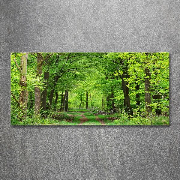 Acrylic wall art Spring forest