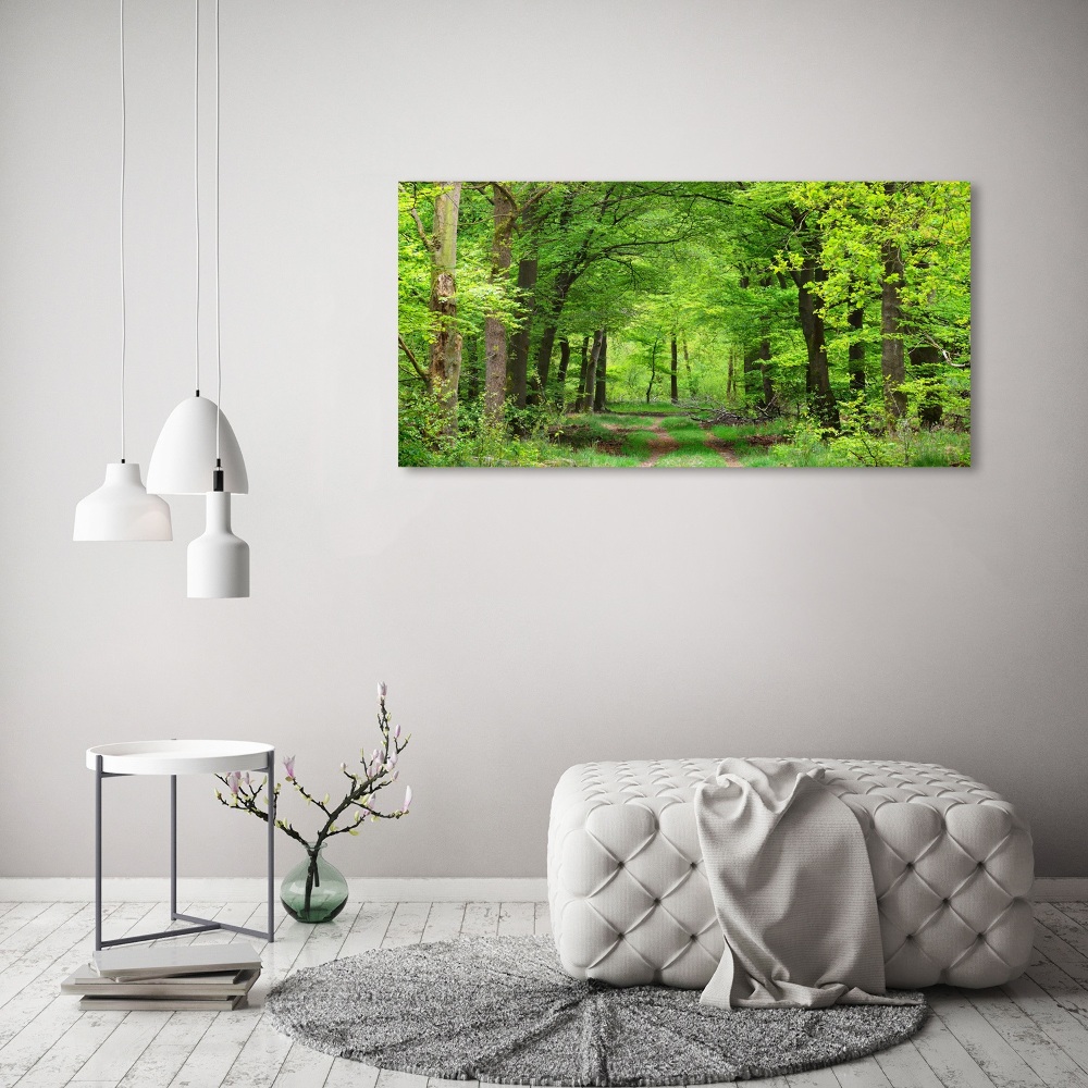 Acrylic wall art Spring forest