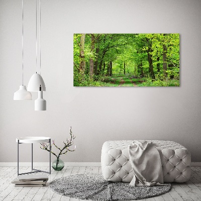 Acrylic wall art Spring forest