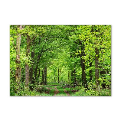 Acrylic wall art Spring forest