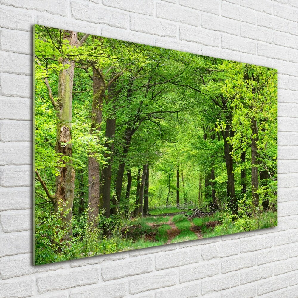 Acrylic wall art Spring forest