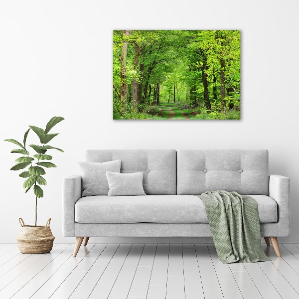 Acrylic wall art Spring forest