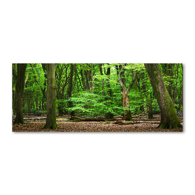 Wall art acrylic Dutch forest