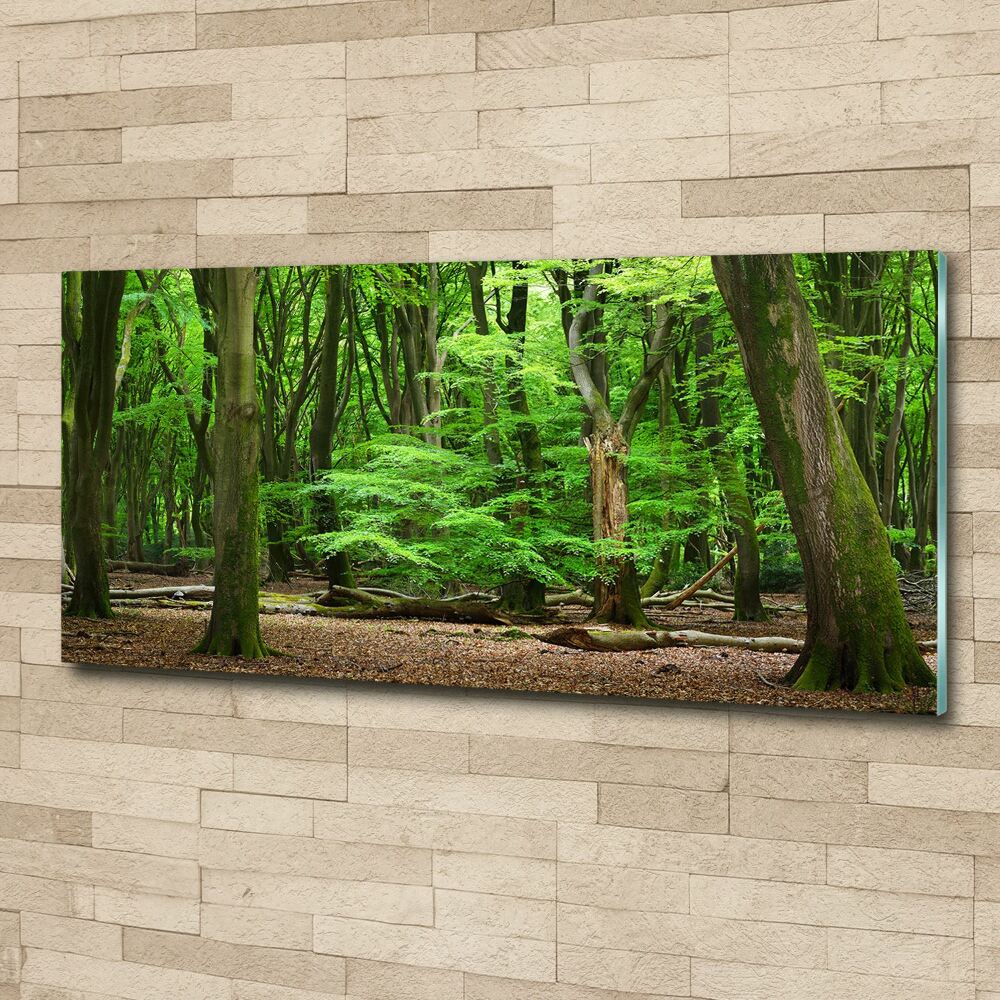 Wall art acrylic Dutch forest