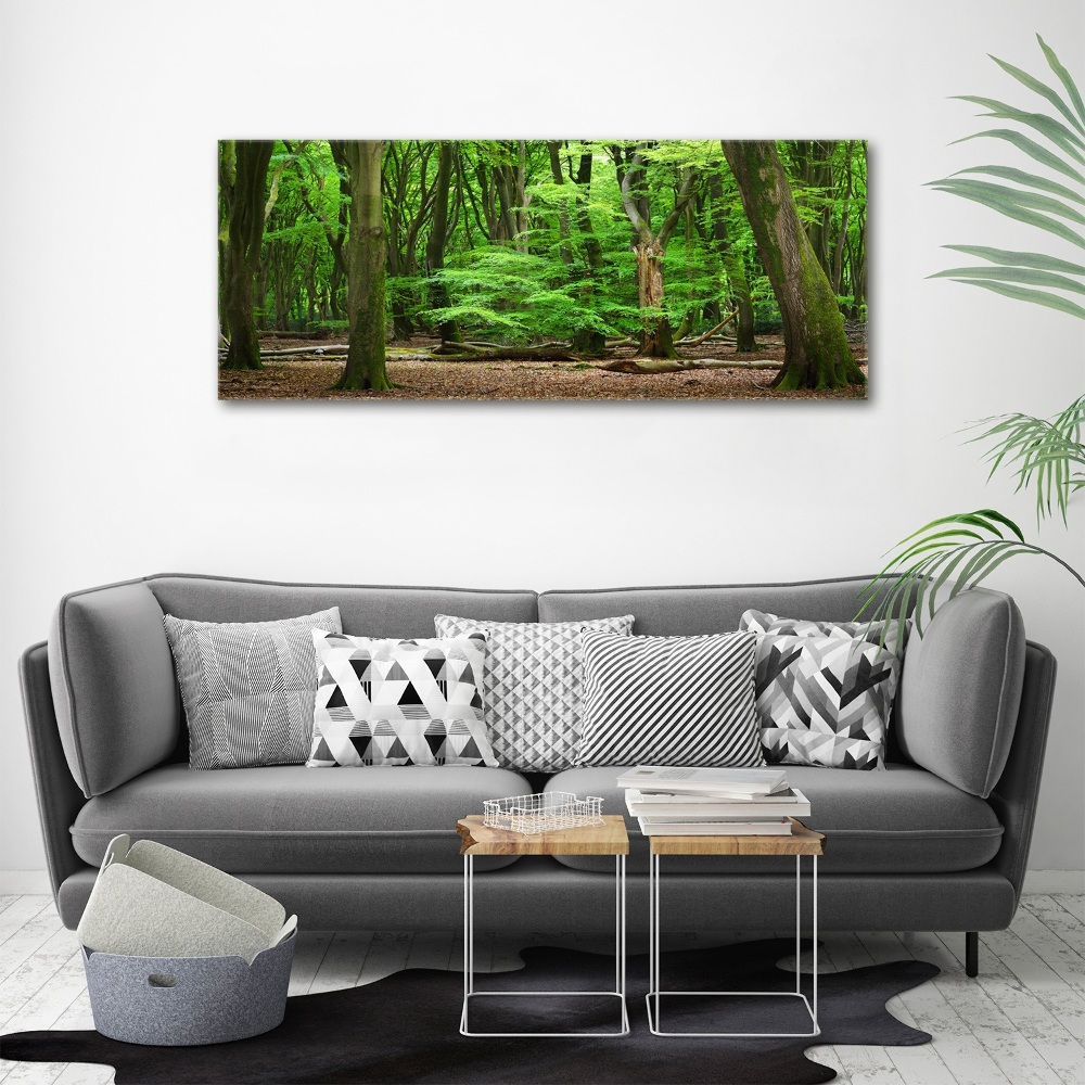 Wall art acrylic Dutch forest