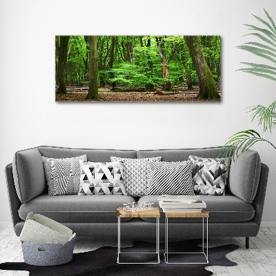 Wall art acrylic Dutch forest