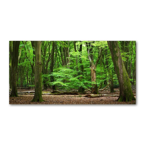 Wall art acrylic Dutch forest