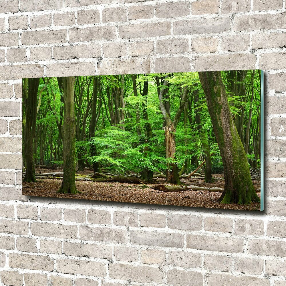 Wall art acrylic Dutch forest