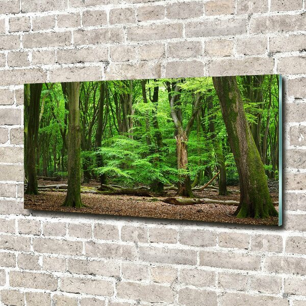 Wall art acrylic Dutch forest