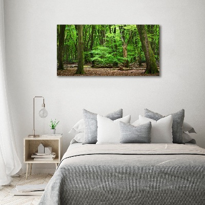 Wall art acrylic Dutch forest