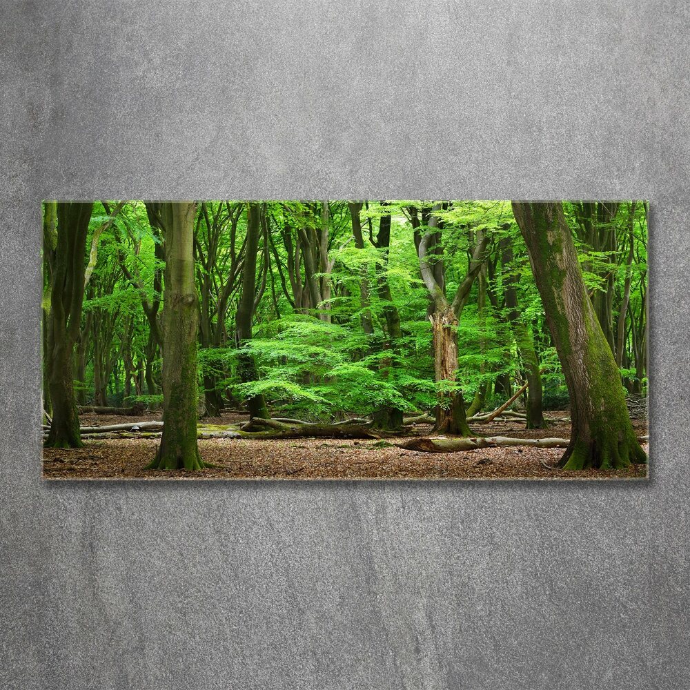 Wall art acrylic Dutch forest