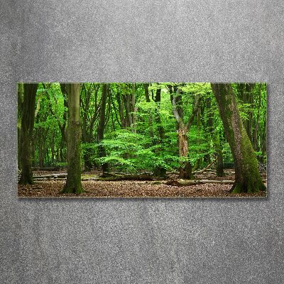 Wall art acrylic Dutch forest