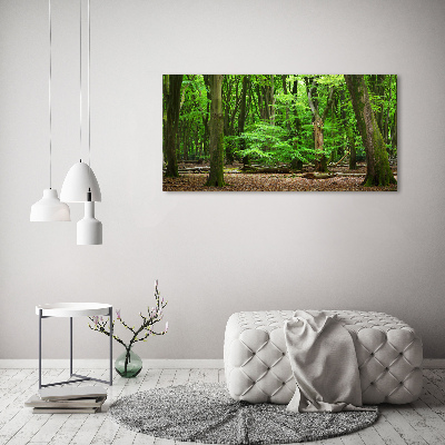 Wall art acrylic Dutch forest