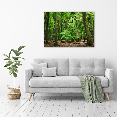 Wall art acrylic Dutch forest