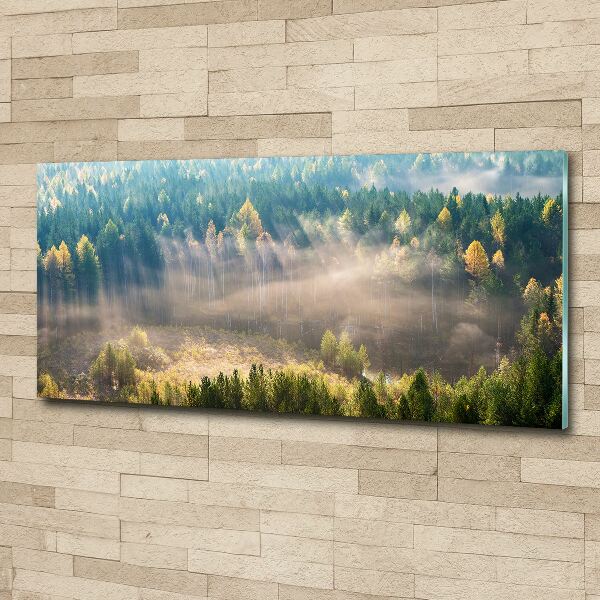 Acrylic wall art Fog in the forest