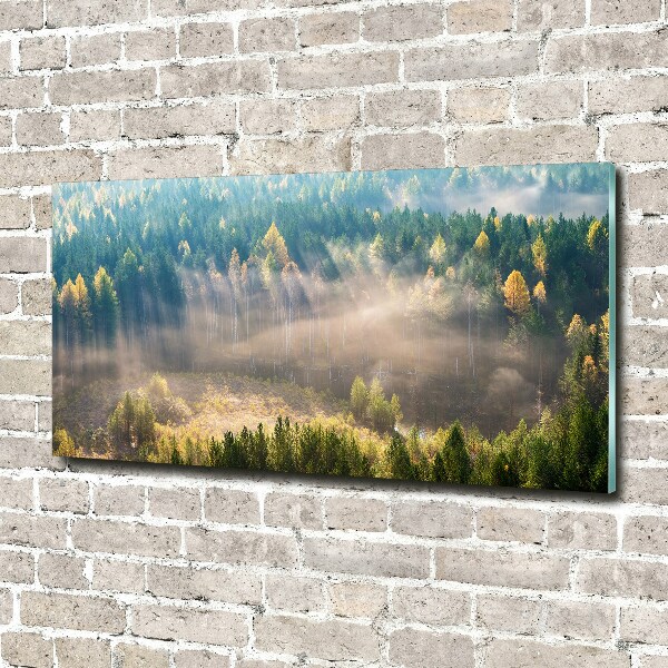 Acrylic wall art Fog in the forest