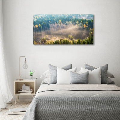 Acrylic wall art Fog in the forest