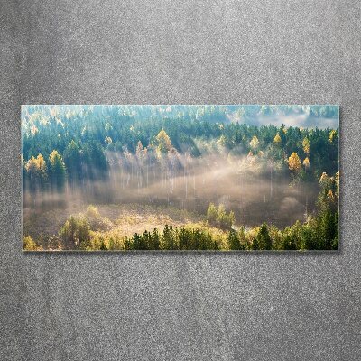 Acrylic wall art Fog in the forest