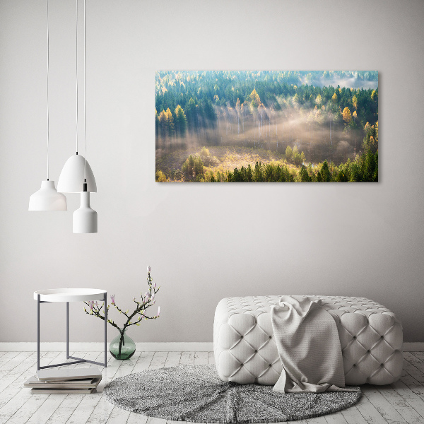 Acrylic wall art Fog in the forest