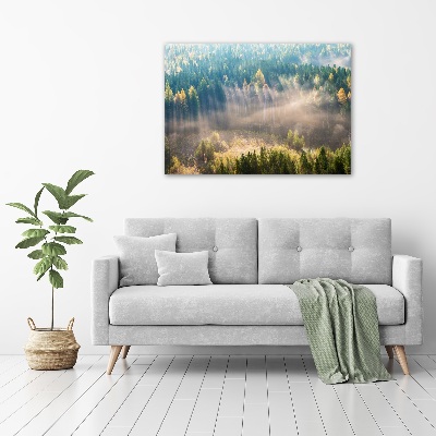 Acrylic wall art Fog in the forest