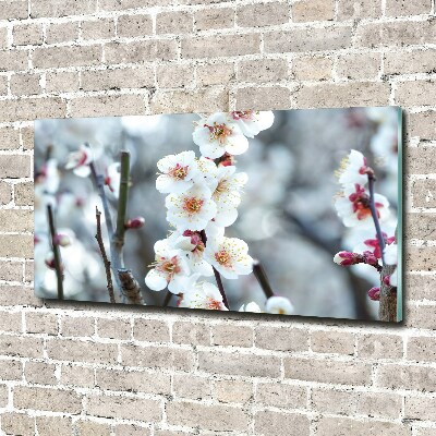 Print on acrylic Cherry blossoms