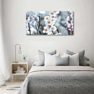 Print on acrylic Cherry blossoms