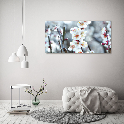 Print on acrylic Cherry blossoms