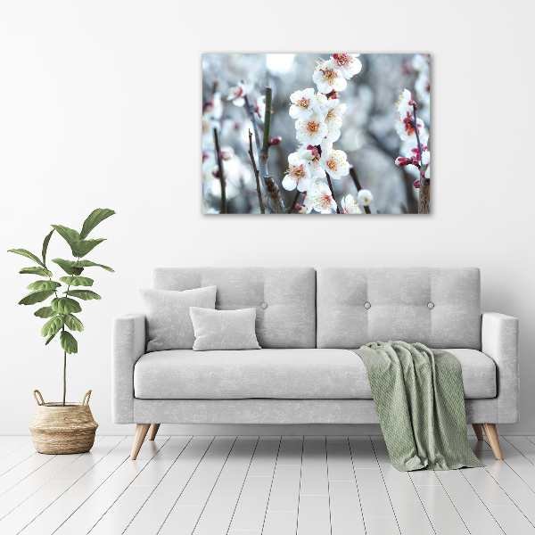 Print on acrylic Cherry blossoms