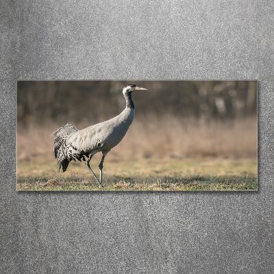 Acrylic wall art Heron