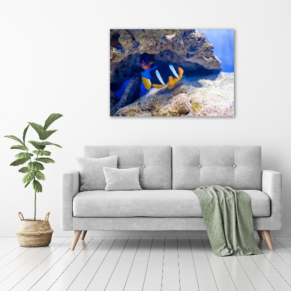 Print on acrylic Tropical fish