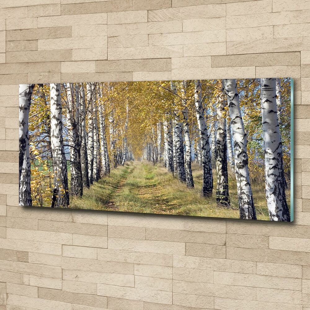 Print on acrylic Birches in autumn