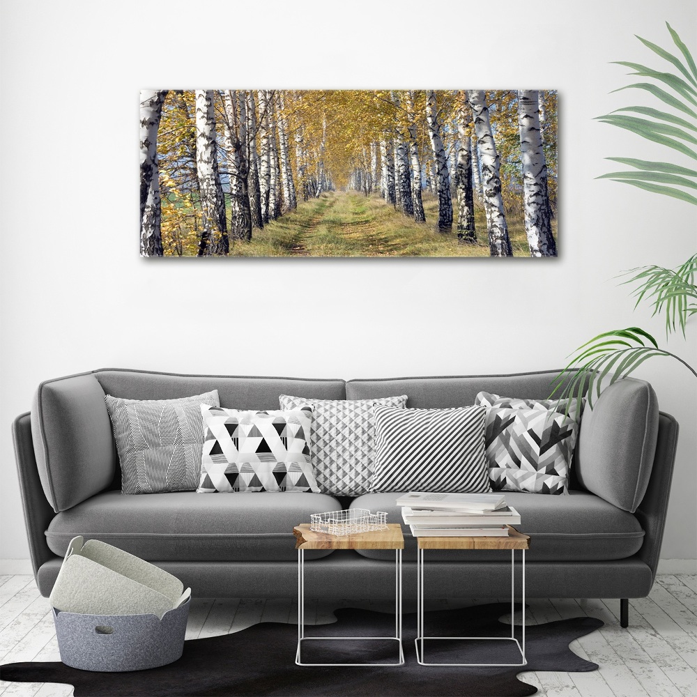 Print on acrylic Birches in autumn