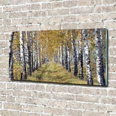 Print on acrylic Birches in autumn