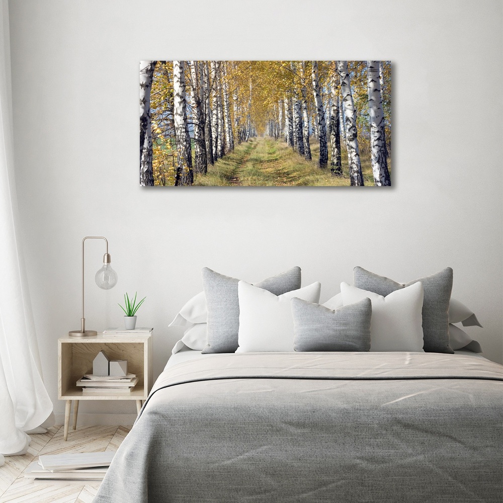 Print on acrylic Birches in autumn